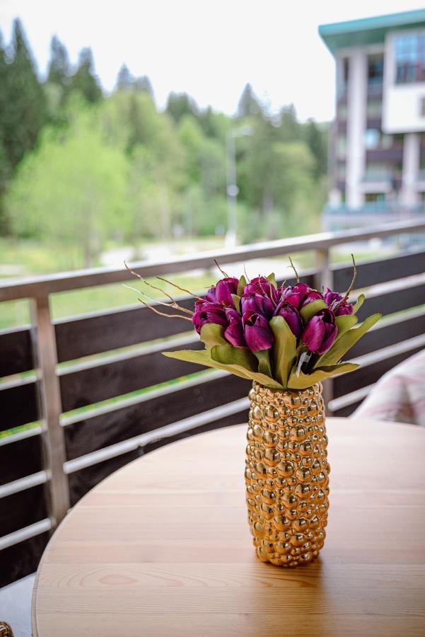 Silver Mountain Resort & Spa Poiana Brašov Exteriér fotografie